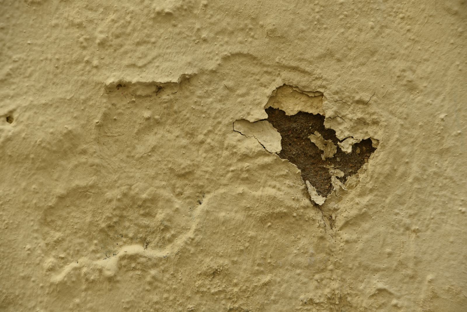 pt_202409_0083.jpg